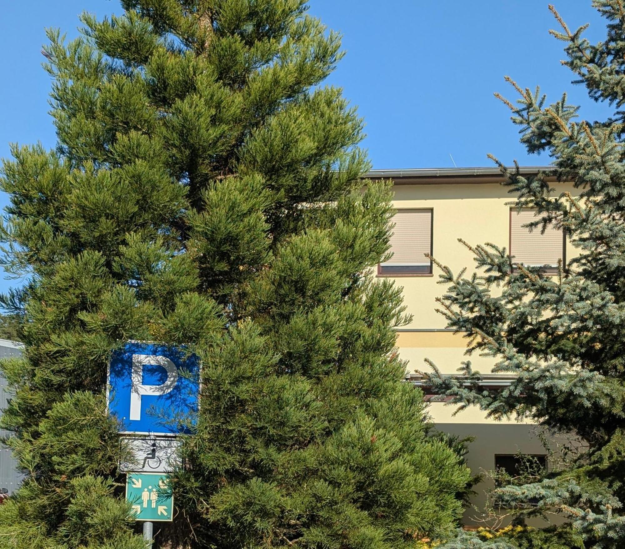 Pension Zum Reiterhof, Fewo 2 Schmogrow Esterno foto
