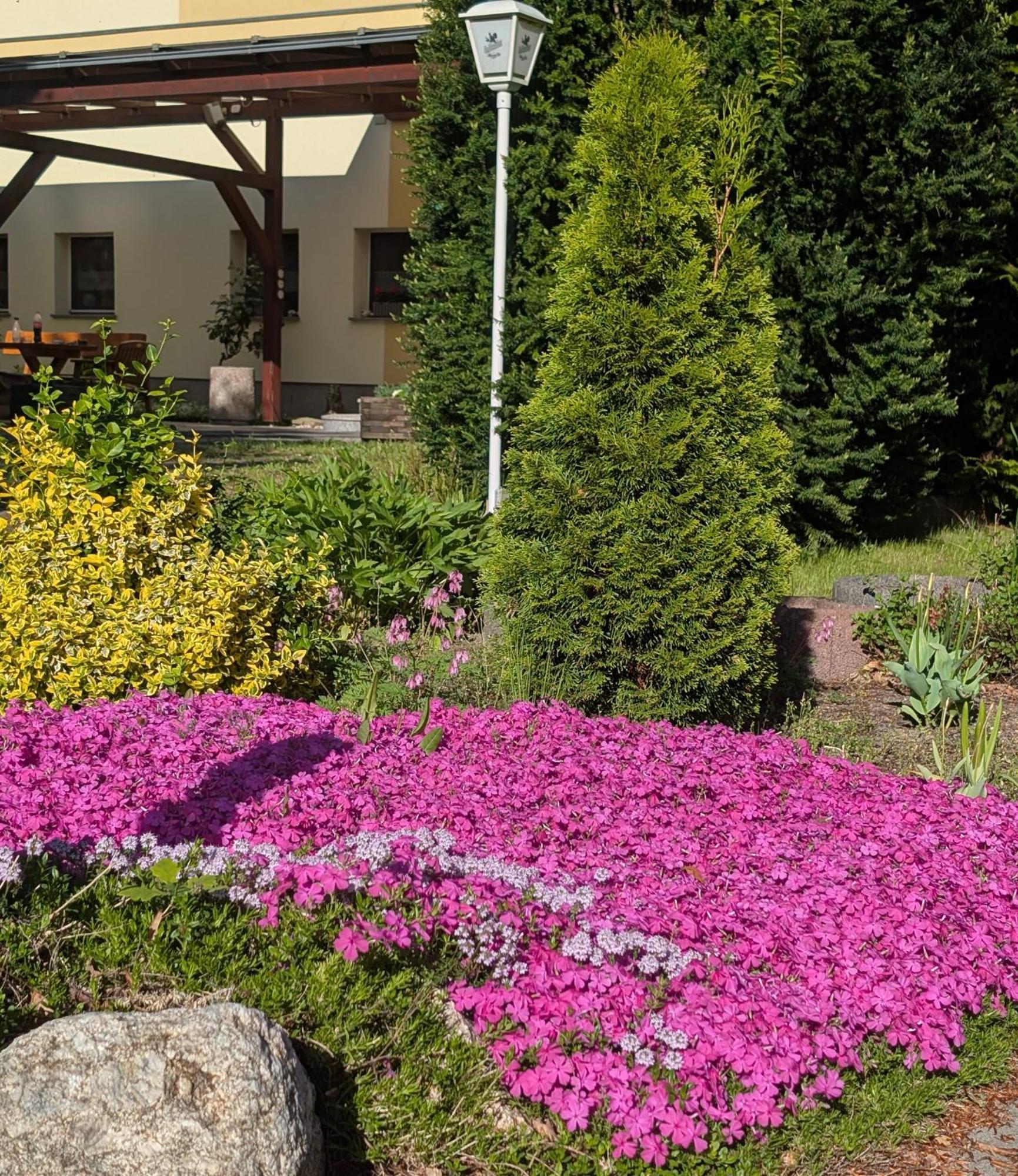 Pension Zum Reiterhof, Fewo 2 Schmogrow Esterno foto